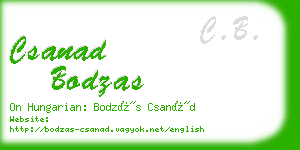 csanad bodzas business card